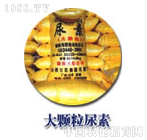 �m��-���w������