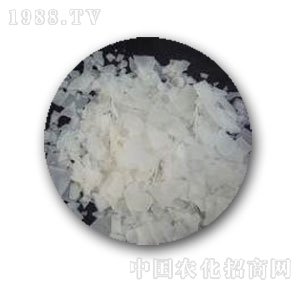 �к����W(xu��)-99�x��ĤƬ