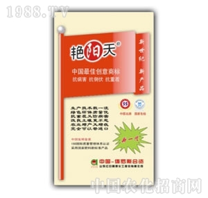 �G�����һ��384�I(y��ng)�B(y��ng)���(f��)�Ϸ�