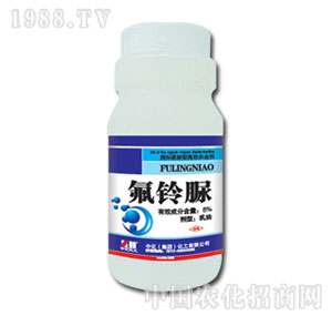 �л�����-5%�����