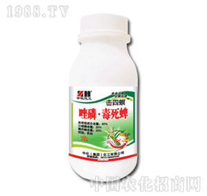 �л�����-������