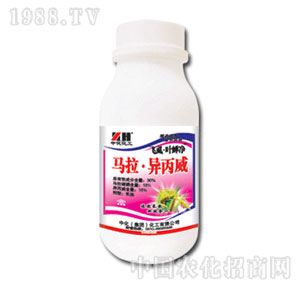 �л�����-�wʭ�~�s��