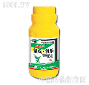 �л�����-�p��