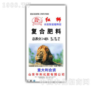 ��������-�L(zh��ng)Ч���ܾ����24-16-16