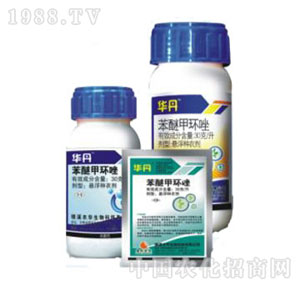 �Gɫ�r(n��ng)�A-�A��