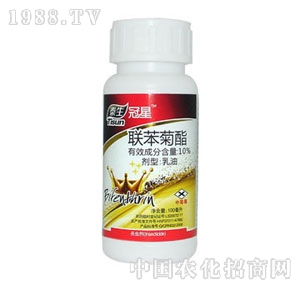 ���-̩������