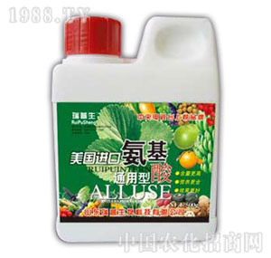 ������-����(gu��)�M(j��n)�ڰ�����