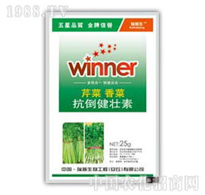 ������-�۲���˿���������