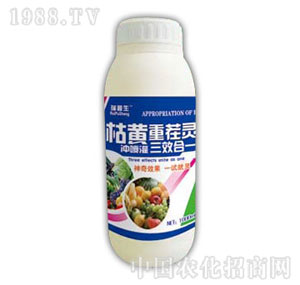 ������-���S�ز��`