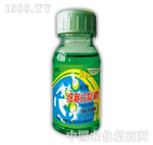 ������-ֲ�：(x��)��������