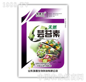 ������-��Ȼ�|̦��