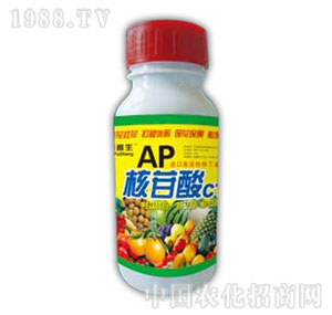 ������-������