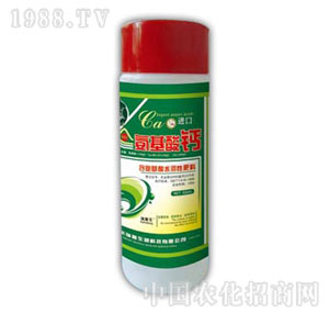 ������-�������}