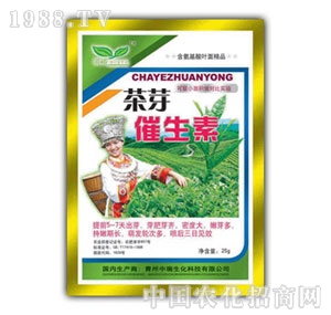 ��(r��n)ԣ-��ѿ������