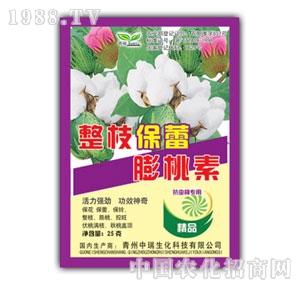 ��(r��n)ԣ-��֦����������