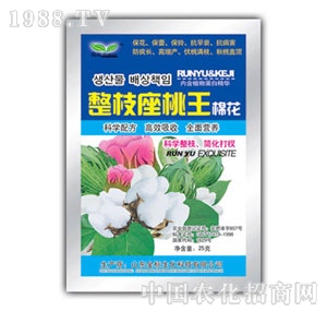 ��(r��n)ԣ-��֦���������޻���