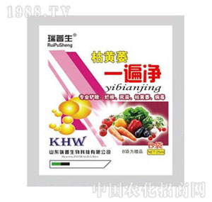 ������-���Sήһ���