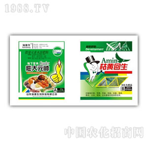 ������-���Ԫ��+���S����