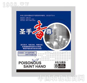 ������-ʥ�ֶ���