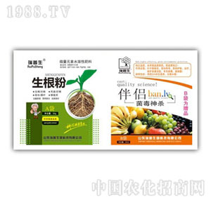 ������-������+������