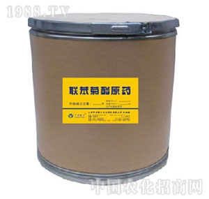 ���r(n��ng)(li��n)��-(li��n)������ԭˎ