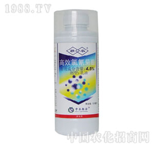 ���r��-�������