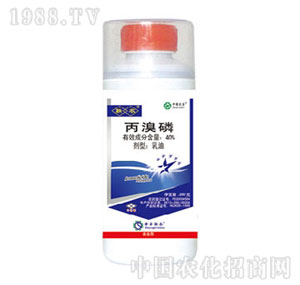 ���r��-40%������