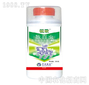 ���r��-40%�����x