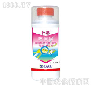 ���r��-25%���ͪ