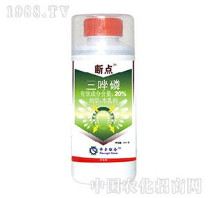 ���r��-20%������