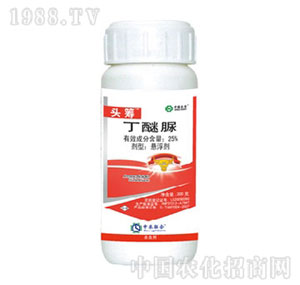 ���r��-25%������