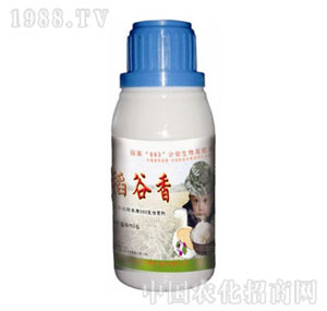 ����-����þ���