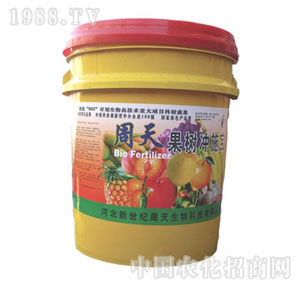 ����-����_ʩ��