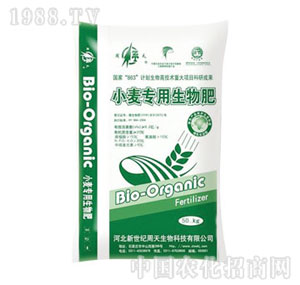 ����-С�����������