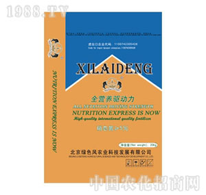 �ļ�-ȫ�I�B(y��ng)����