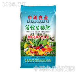 �п��r(n��ng)�I(y��)-���������