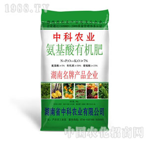 �п��r(n��ng)�I(y��)-�������ЙC(j��)��