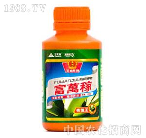 ���f��-�֏���