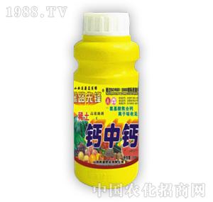 ̽·���h-�}���}