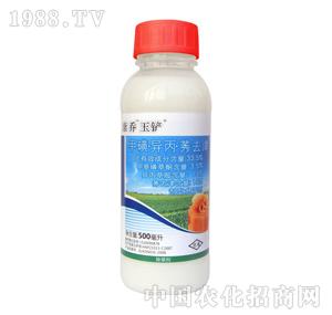 ����-���P���׻�ݬ��