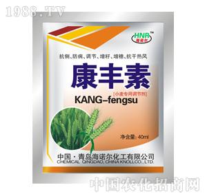 ���Z��-���S�أ�С�����ã�