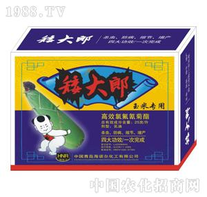 ���Z��-������