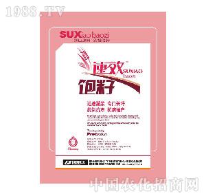 �²�����-���