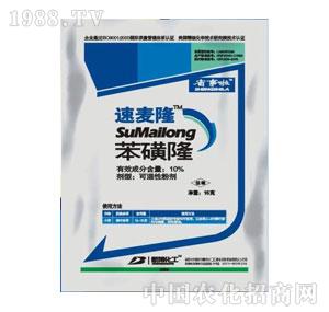 �²�����-����¡