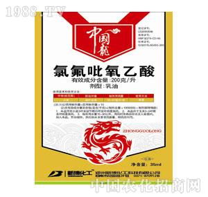 �²�����-��