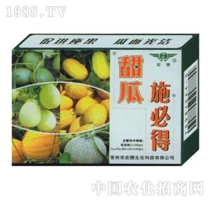 ���v����-���ʩ�ص�