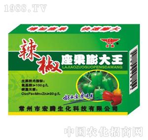 ���v����-�������������