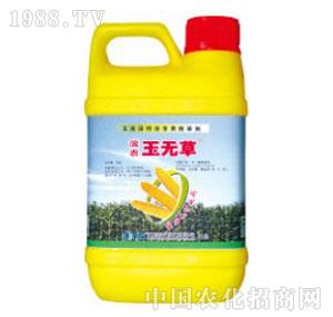 �I�r(n��ng)�Ƽ�-�I�r(n��ng)��o��