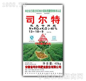 ˾����-�����y���䷽��