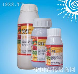 �ϸ�֮·-�W�J��522.5�����趾��